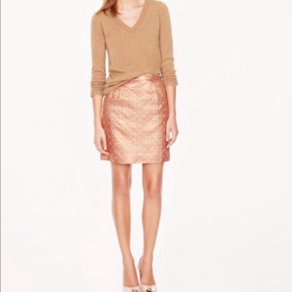 JCrew Collection Skirt!